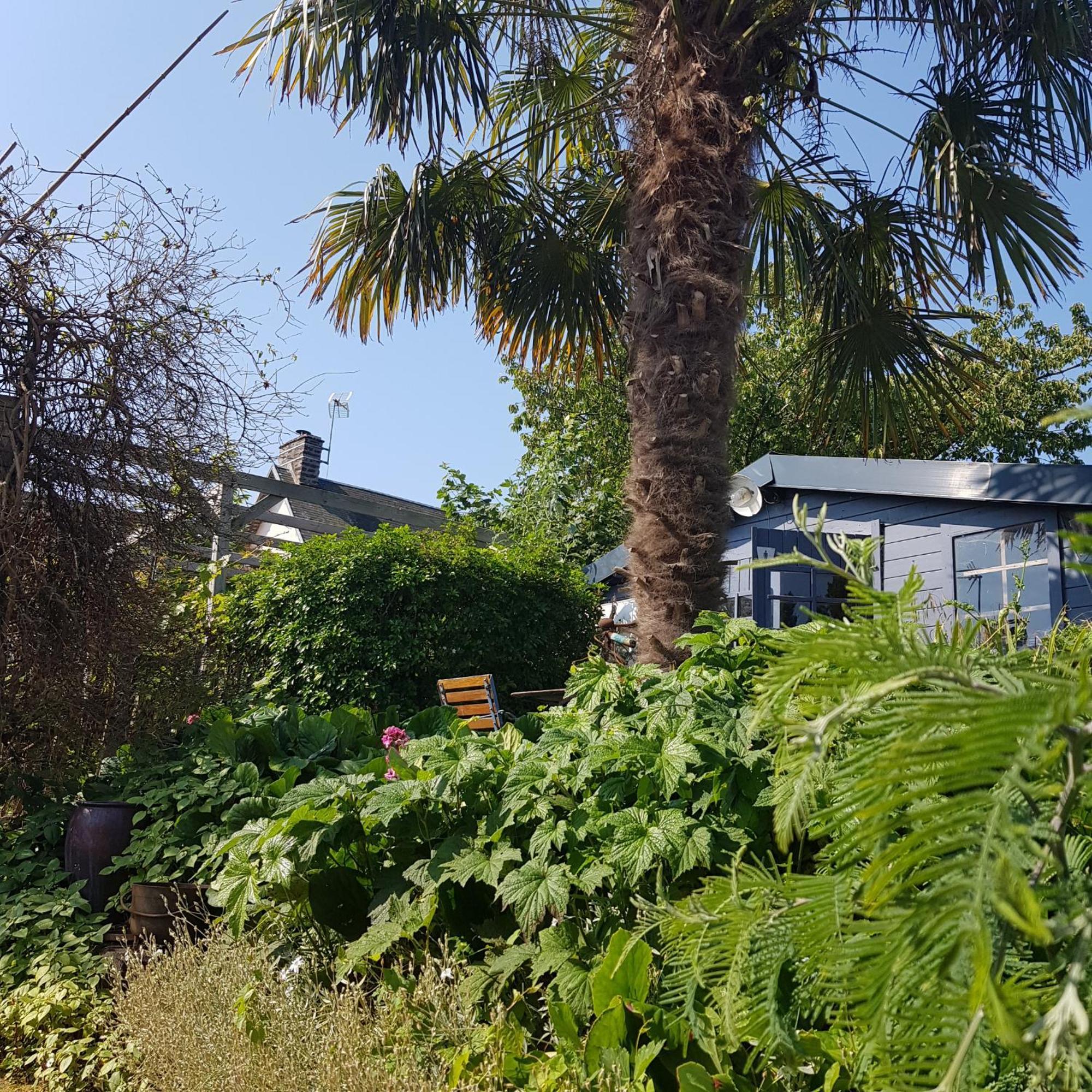 Bed and Breakfast Le Jardin Coudeville Exterior foto